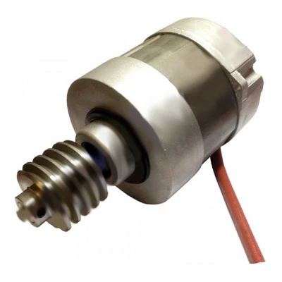 Электродвигатель BX-246 в сборе (119RIBX053)