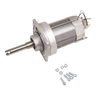 Двигатель для G2500 в сборе (119RIG090)