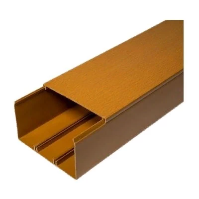 Кабель-канал бук 2-й замок 100х60 мм (16м/уп) (PR.025447)